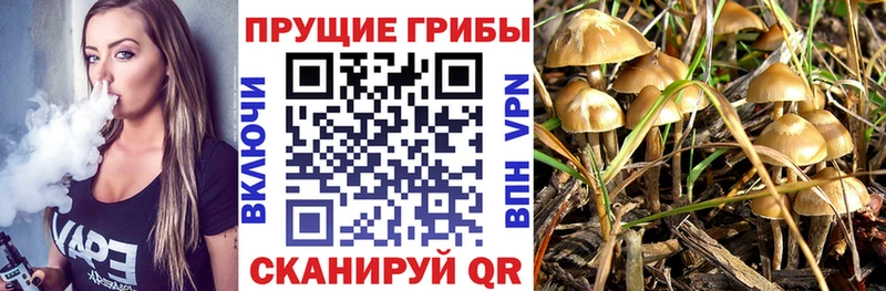 Галлюциногенные грибы прущие грибы  закладка  Уржум 